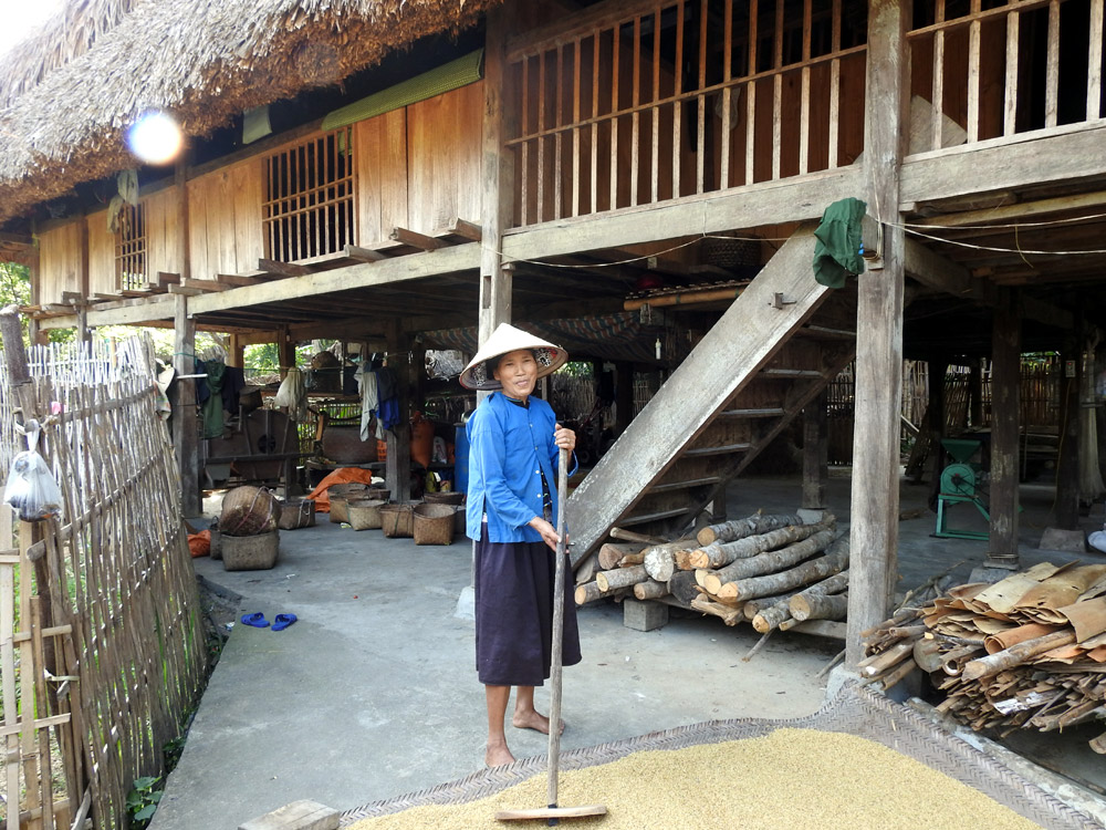 la femme Tay au séchage du riz à Ha Giang