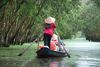 Tra Su forest in An Giang Tra Su forest in An Giang
