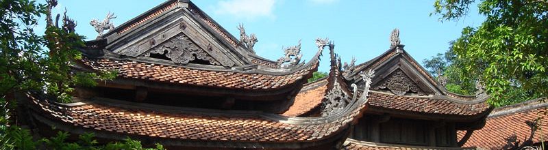 Pilgrimage to Buddha land