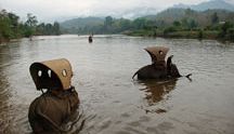 Biking & Elephant ride 