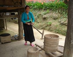 Hoa Binh Discovery