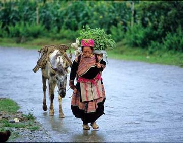 Mai Chau Valley